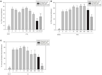 Misoprostol Inhibits Equine Neutrophil Adhesion, Migration, and Respiratory Burst in an In Vitro Model of Inflammation